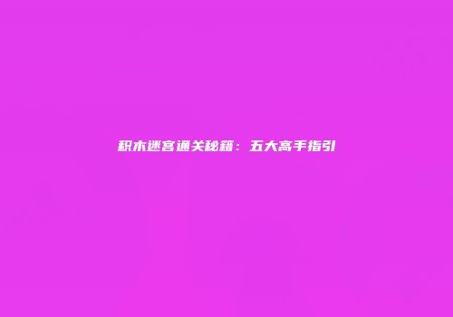 积木迷宫通关秘籍：五大高手指引