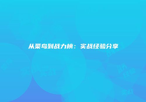 从菜鸟到战力榜：实战经验分享