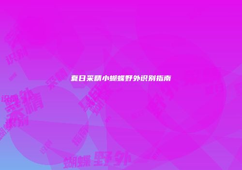 夏日采精小蝴蝶野外识别指南