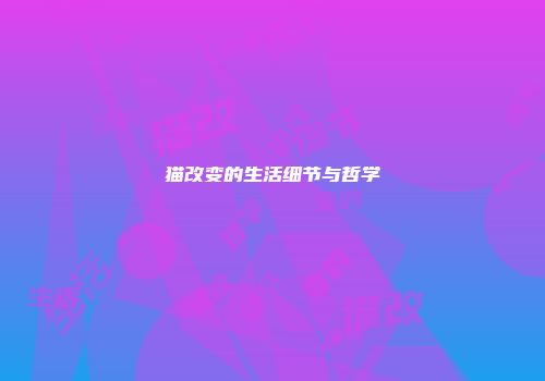猫改变的生活细节与哲学