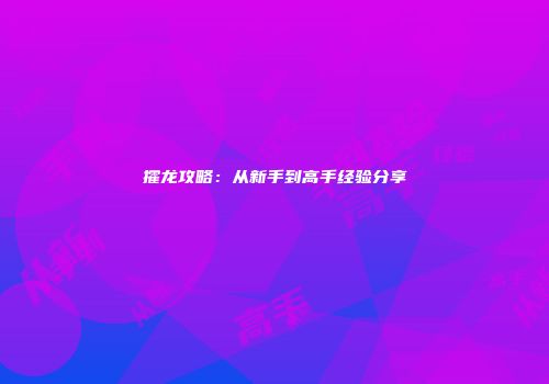 攉龙攻略:从新手到高手经验分享