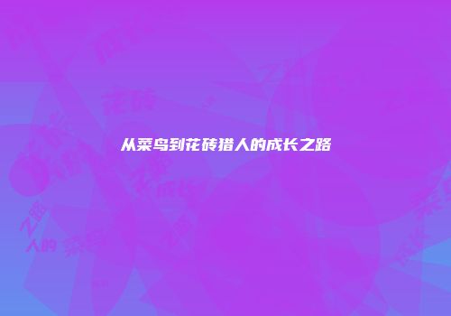 从菜鸟到花砖猎人的成长之路