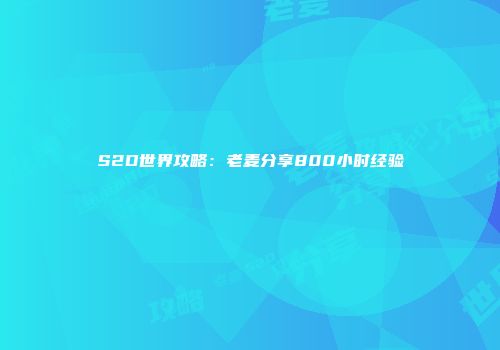 S2D世界攻略：老麦分享800小时经验