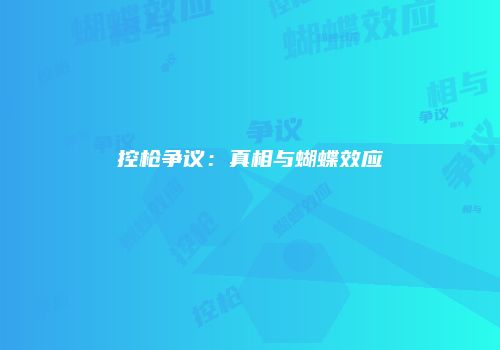 控枪争议：真相与蝴蝶效应