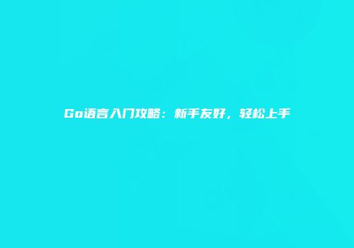 Go语言入门攻略：新手友好，轻松上手