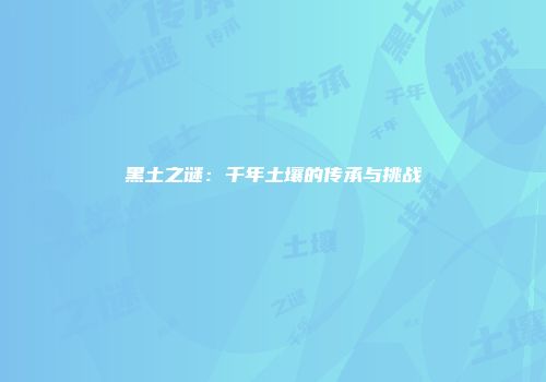 黑土之谜：千年土壤的传承与挑战