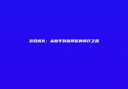游戏成长：从新手到指挥官的摔打之路