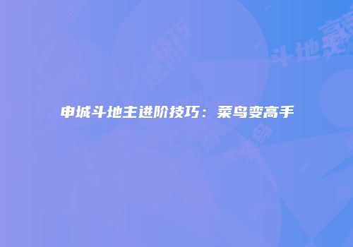 申城斗地主进阶技巧：菜鸟变高手