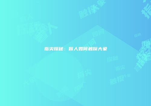 指尖探秘：盲人如何触摸大象