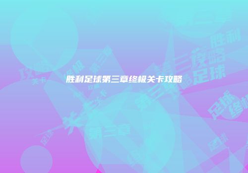 胜利足球第三章终极关卡攻略