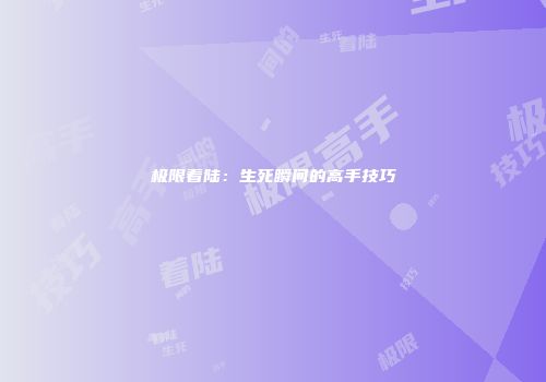 极限着陆：生死瞬间的高手技巧