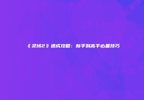 《灵域2》速成攻略:新手到高手必备技巧