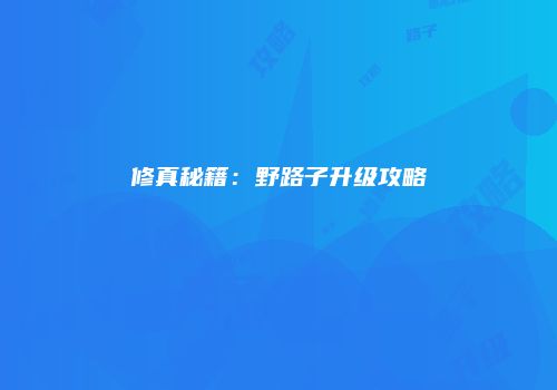 修真秘籍：野路子升级攻略