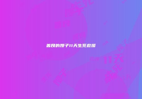 善良的嫂子11天生死救援