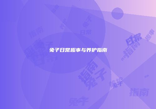 兔子日常趣事与养护指南