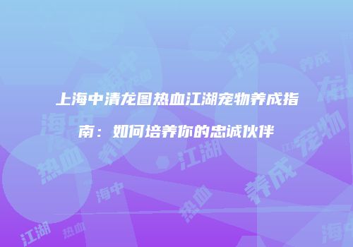 上海中清龙图热血江湖宠物养成指南：如何培养你的忠诚伙伴