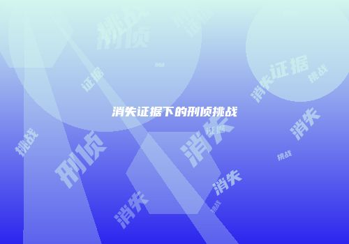 消失证据下的刑侦挑战