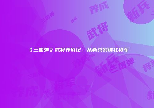 《三国弹》武将养成记：从新兵到镇北将军