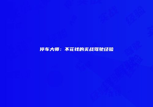 停车大师：不花钱的实战驾驶经验