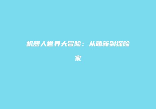 机器人世界大冒险：从萌新到探险家
