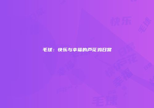 毛球：快乐与幸福的芦花鸡日常
