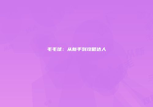 毛毛球：从新手到攻略达人