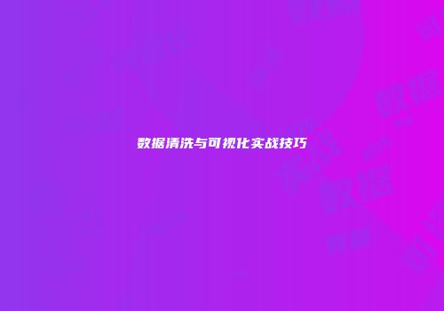 数据清洗与可视化实战技巧