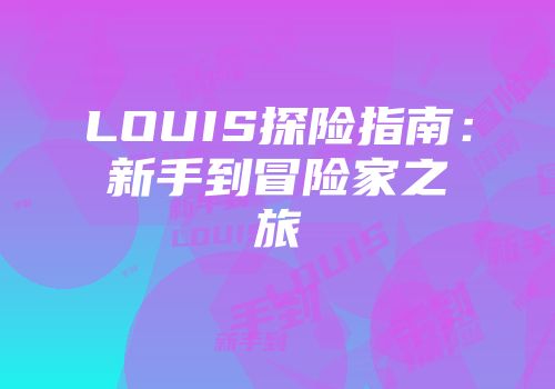 LOUIS探险指南：新手到冒险家之旅
