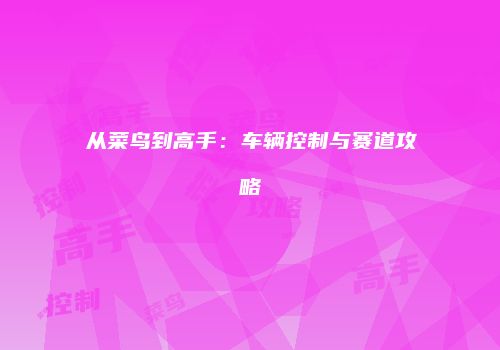 从菜鸟到高手：车辆控制与赛道攻略