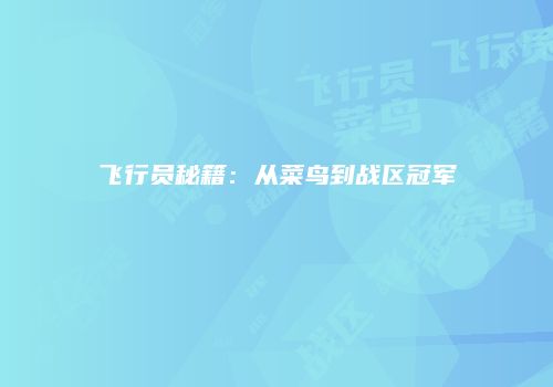 飞行员秘籍：从菜鸟到战区冠军