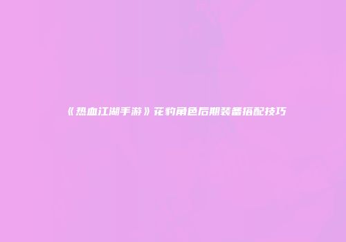 《热血江湖手游》花豹角色后期装备搭配技巧