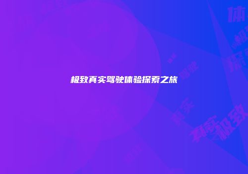 极致真实驾驶体验探索之旅