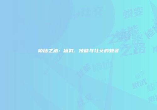 修仙之路：橙武、技能与社交的蜕变