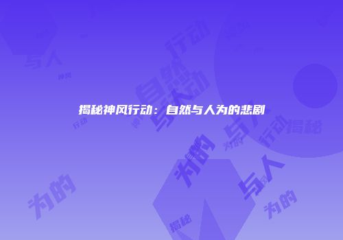 揭秘神风行动:自然与人为的悲剧