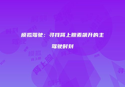 模拟驾驶：寻找肾上腺素飙升的主驾驶时刻