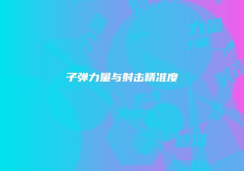 子弹力量与射击精准度