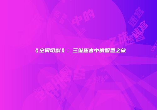 《空间切割》：三维迷宫中的智慧之旅