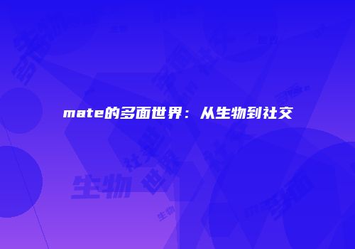 mate的多面世界：从生物到社交