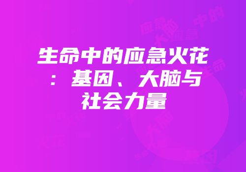 生命中的应急火花：基因、大脑与社会力量
