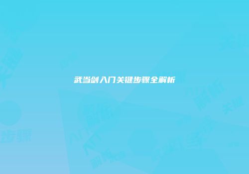 武当剑入门关键步骤全解析