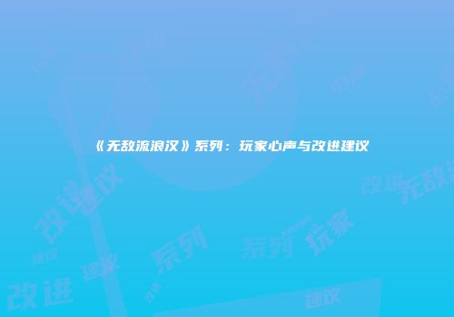 《无敌流浪汉》系列：玩家心声与改进建议