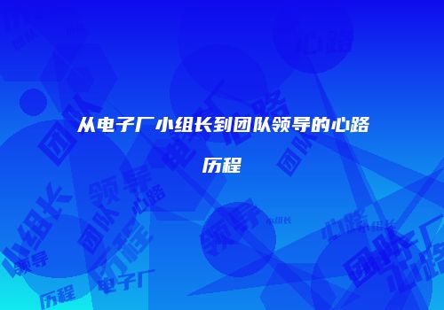 从电子厂小组长到团队领导的心路历程