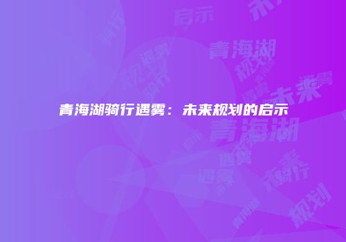 青海湖骑行遇雾:未来规划的启示
