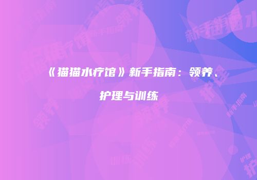 《猫猫水疗馆》新手指南：领养、护理与训练